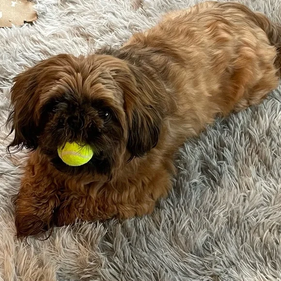 💖💖💖Congratulations!!Come to my show on Mondays at 6pm CST for more deals!💖💖💖 - Picture 3 of 4